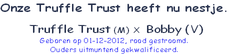 Onze Truffle Trust heeft nu nestje.

 Truffle Trust (M) X  Bobby (V)
Geboren op 01-12-2012, rood gestroomd. 
Ouders uitmuntend gekwalificeerd. 